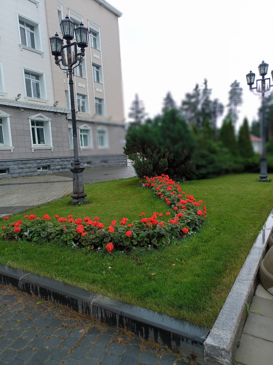 Очень много цветников