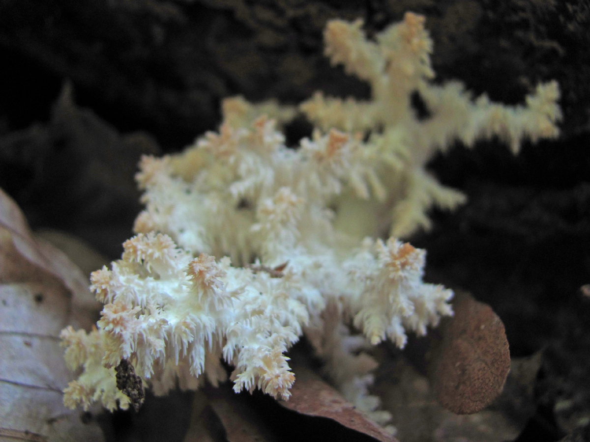 Фото: Полина Морозова 