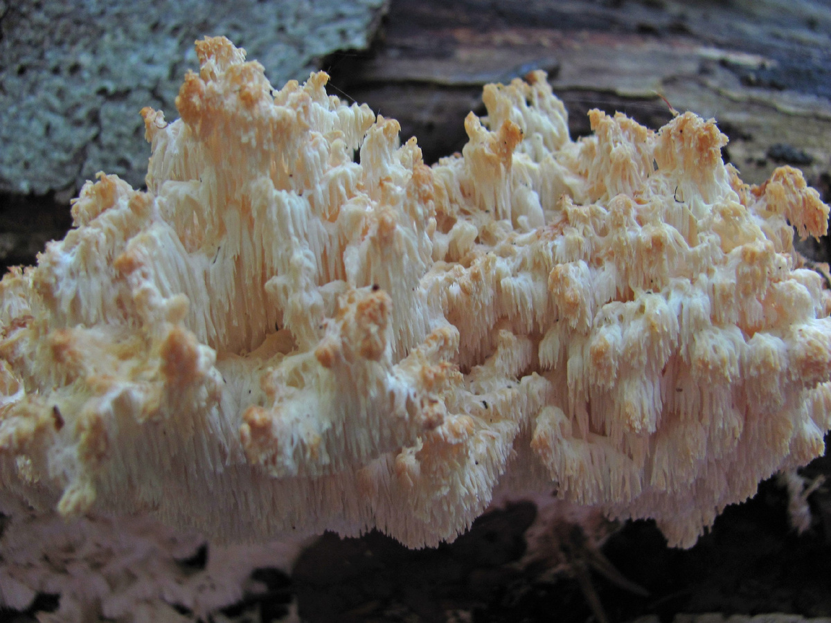 Фото: Полина Морозова 