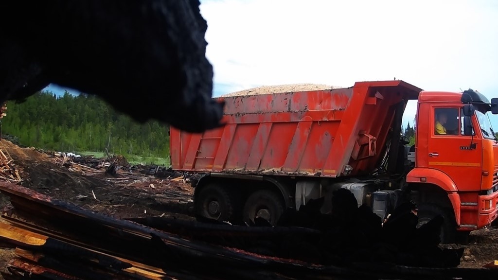    В Советском районе фотоловушки помогли найти виновника свалки в лесу