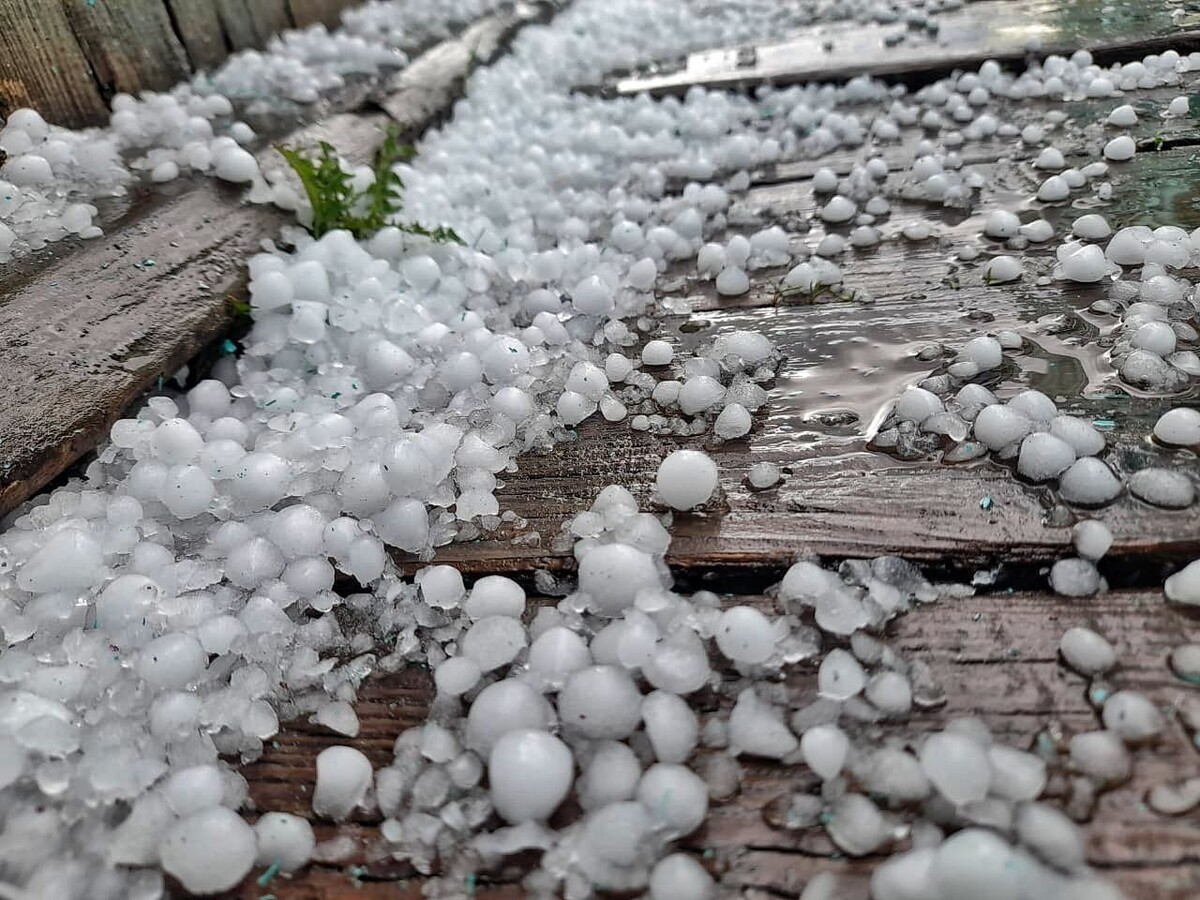    Фото: Очевидец