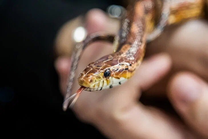    Фото Андрея Заржецкого