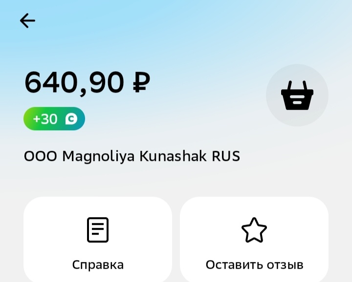 Скриншот из приложения. 