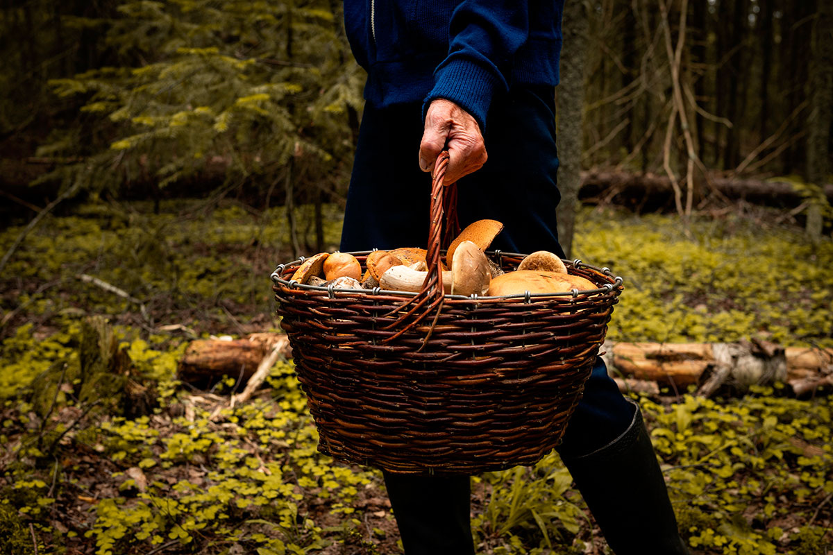    Фото: Azovsky / Shutterstock.com