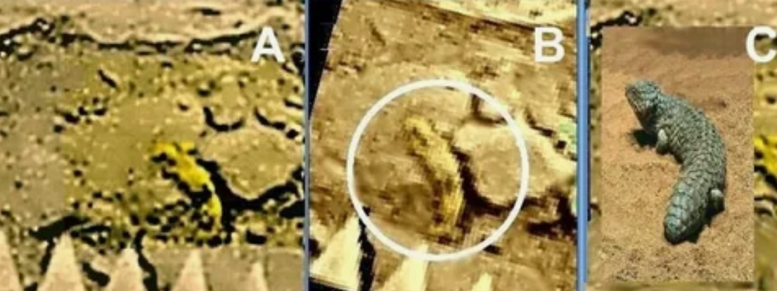 Фото с Венеры