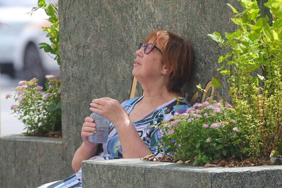    Наталья Шатохина/NEWS.ru