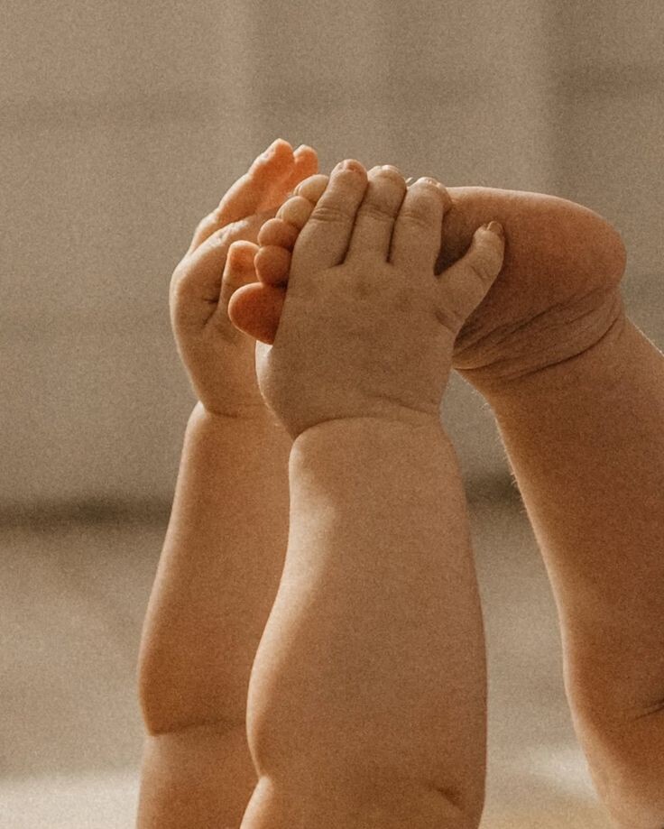 Из открытых интернет источников 