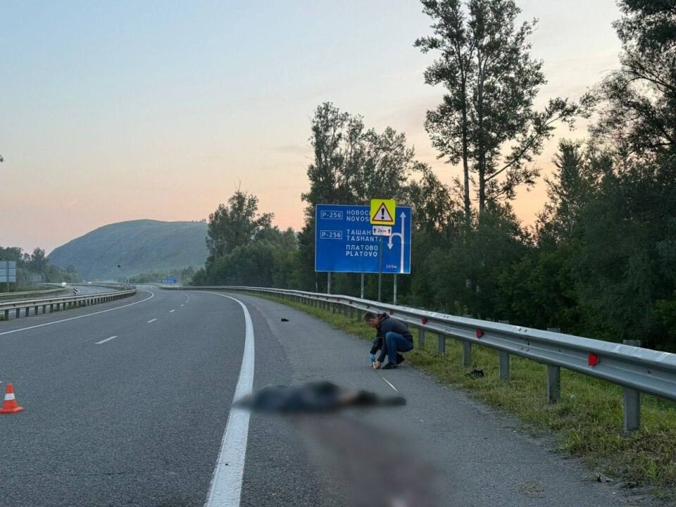    Автомобиль насмерть сбил мужчину на Чуйском тракте. Источник: ГУ МВД по Республике Алтай