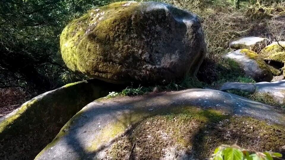 Фото: © Кадр из программы "Загадки человечества", РЕН ТВ