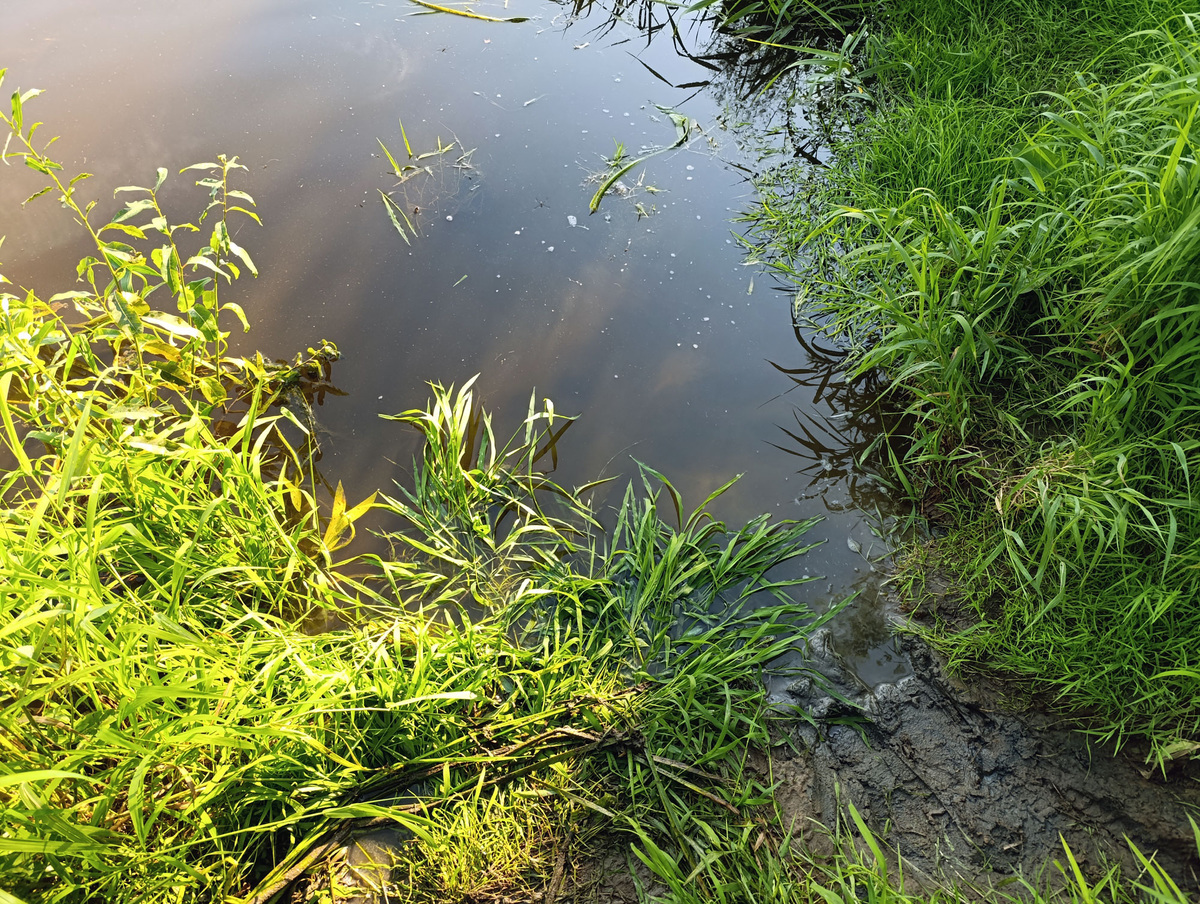 Уже расчищенное мной место