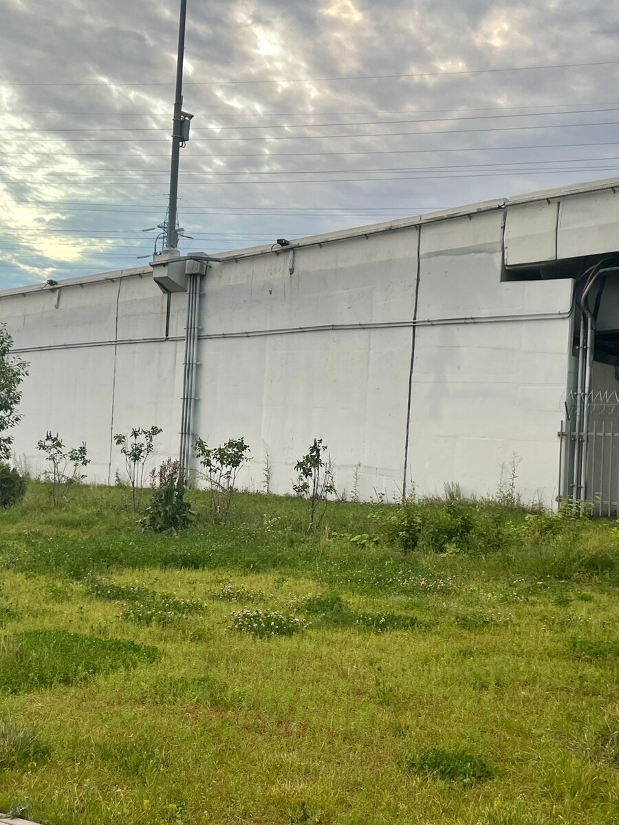 То место, откуда доносился звук