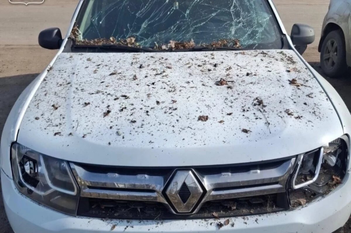    Шесть районов Белгородской области поверглись атакам ВСУ за сутки