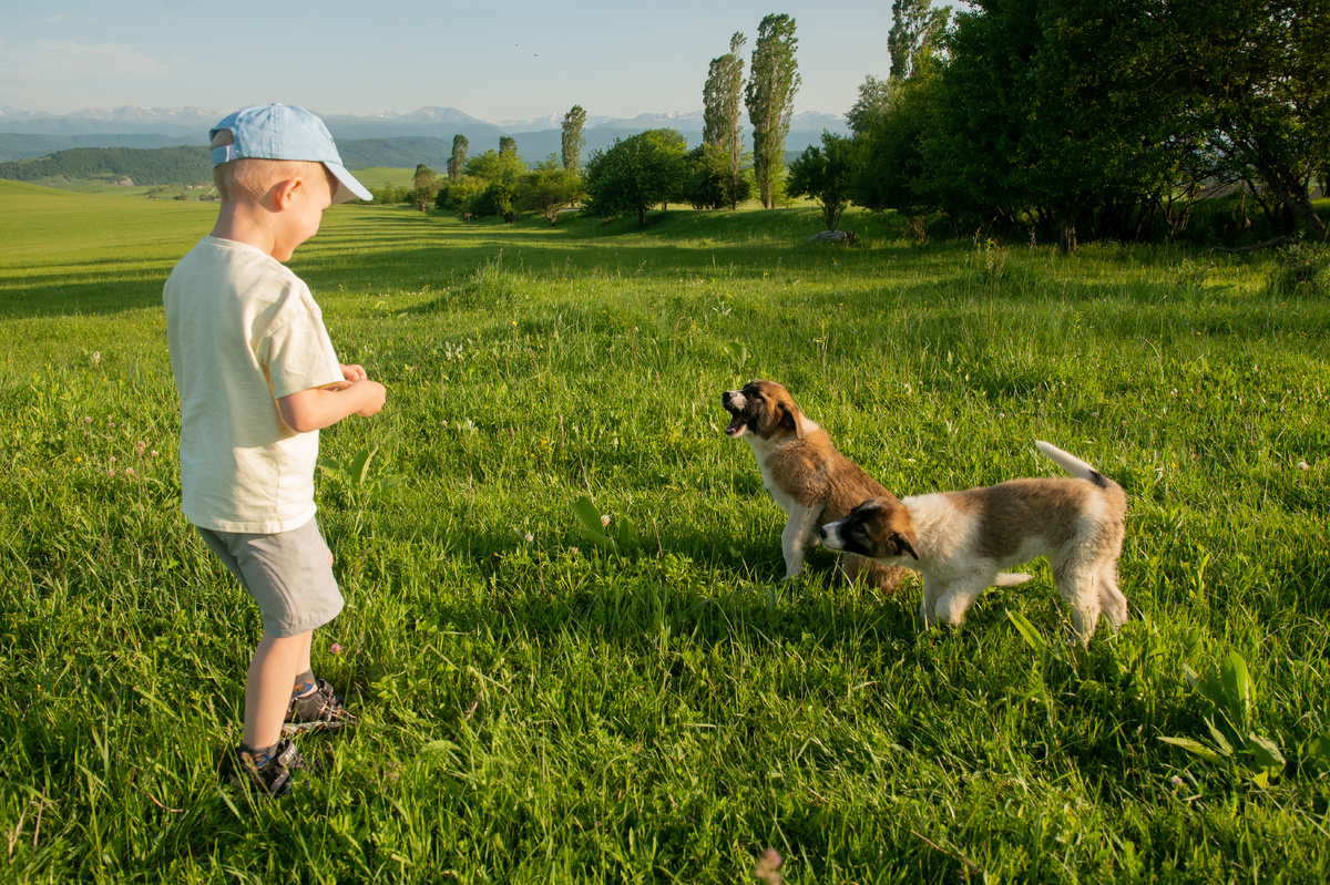 Предгорья Кавказа. Фото автора блога