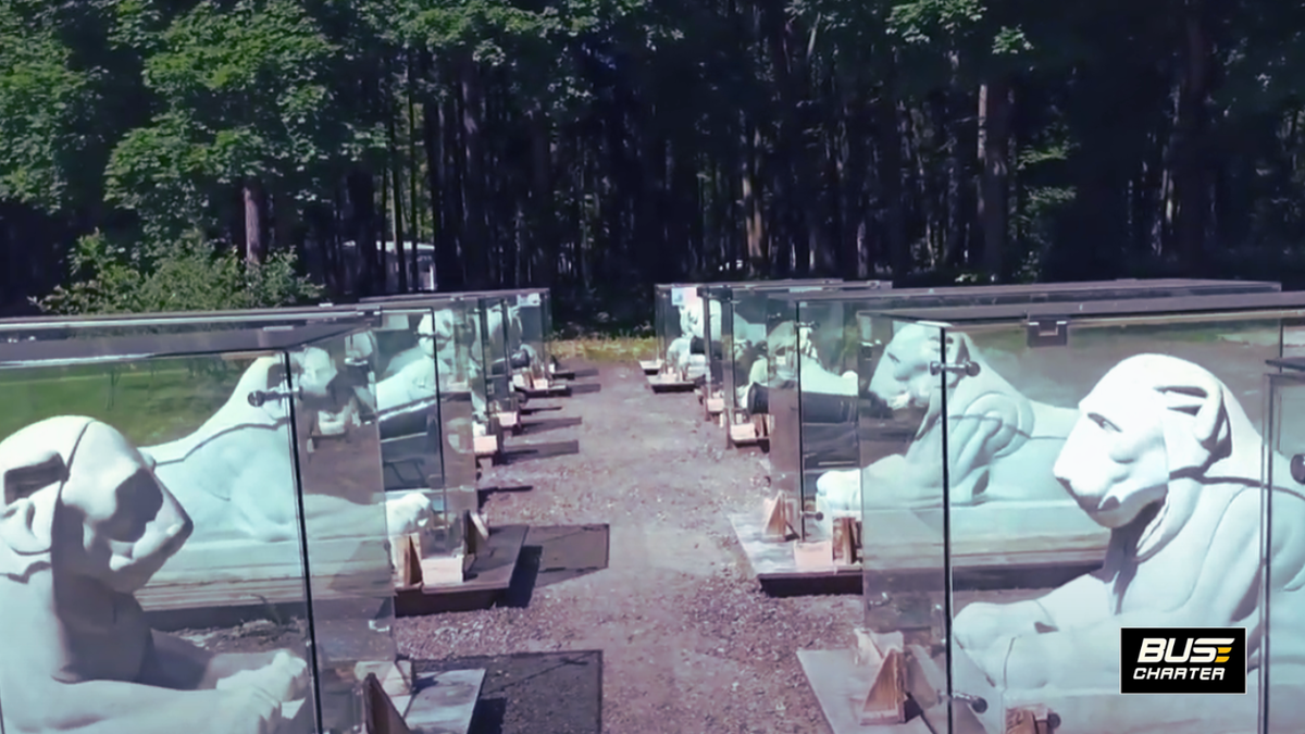 Френда автобуса и микроавтобуса или минивэна для поездки в Подмосковье 2025