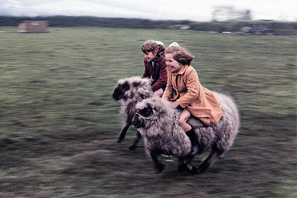 Фотограф: Джон Драйсдейл