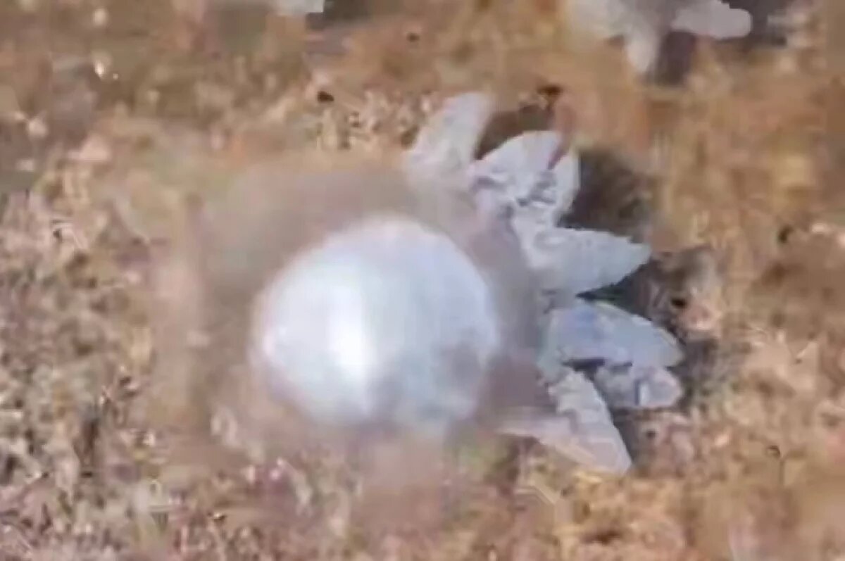    Гигантские медузы заполонили Азовское море