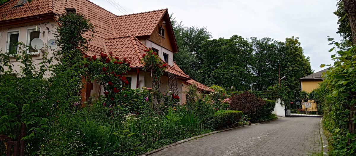 Очень атмосферные дома и домики в Пионерском, море зелени и цветов возле каждого.