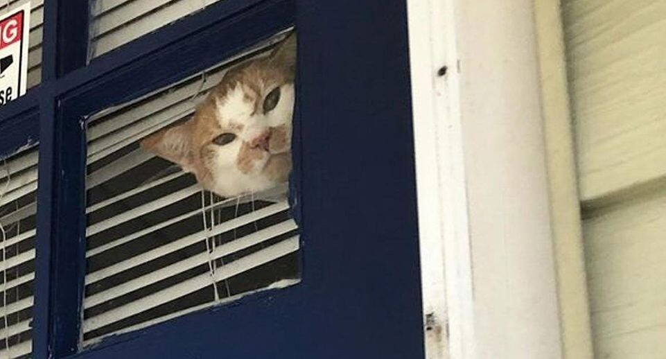    Cover Images / www.globallookpress.com