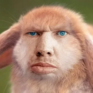 Человеко-зверь