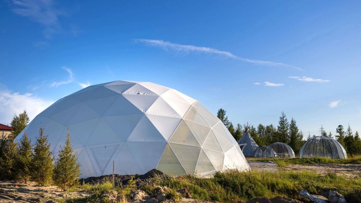    Фото: Юлия Чудинова/«Ямал-Медиа»