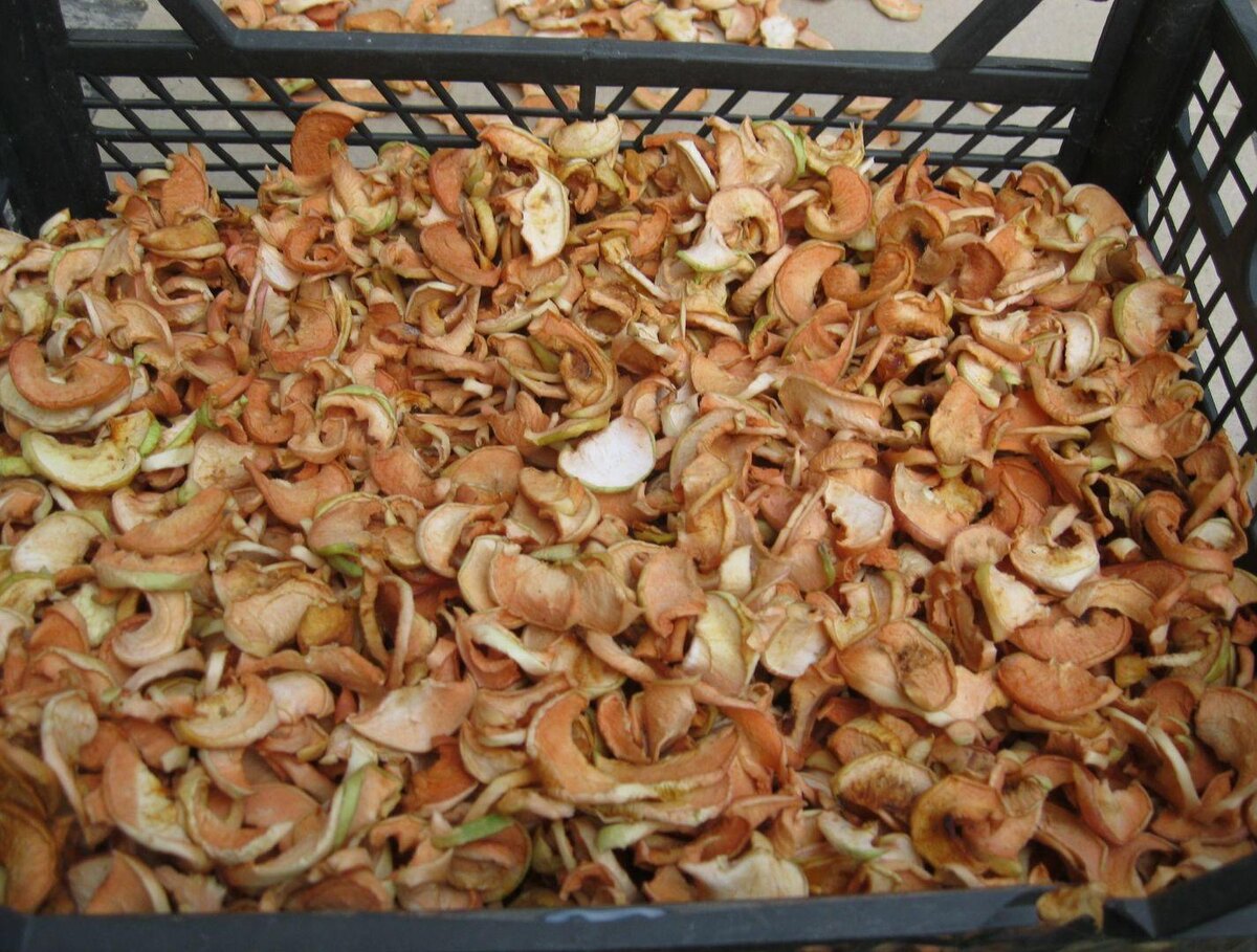    Секрет идеальных сушёных яблок в электросушилке раскрыт