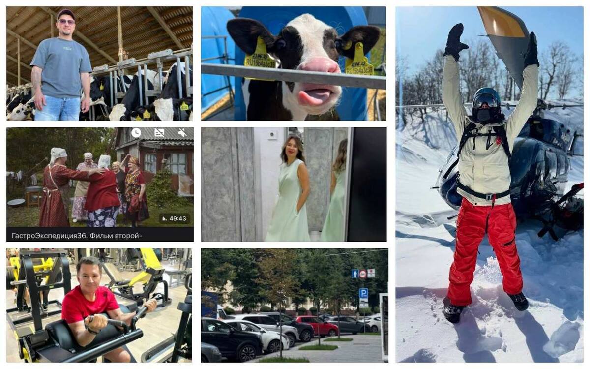    «Сливки соцсетей»: тоска по снегу, экскурсия на ферму и фильм про путешествие