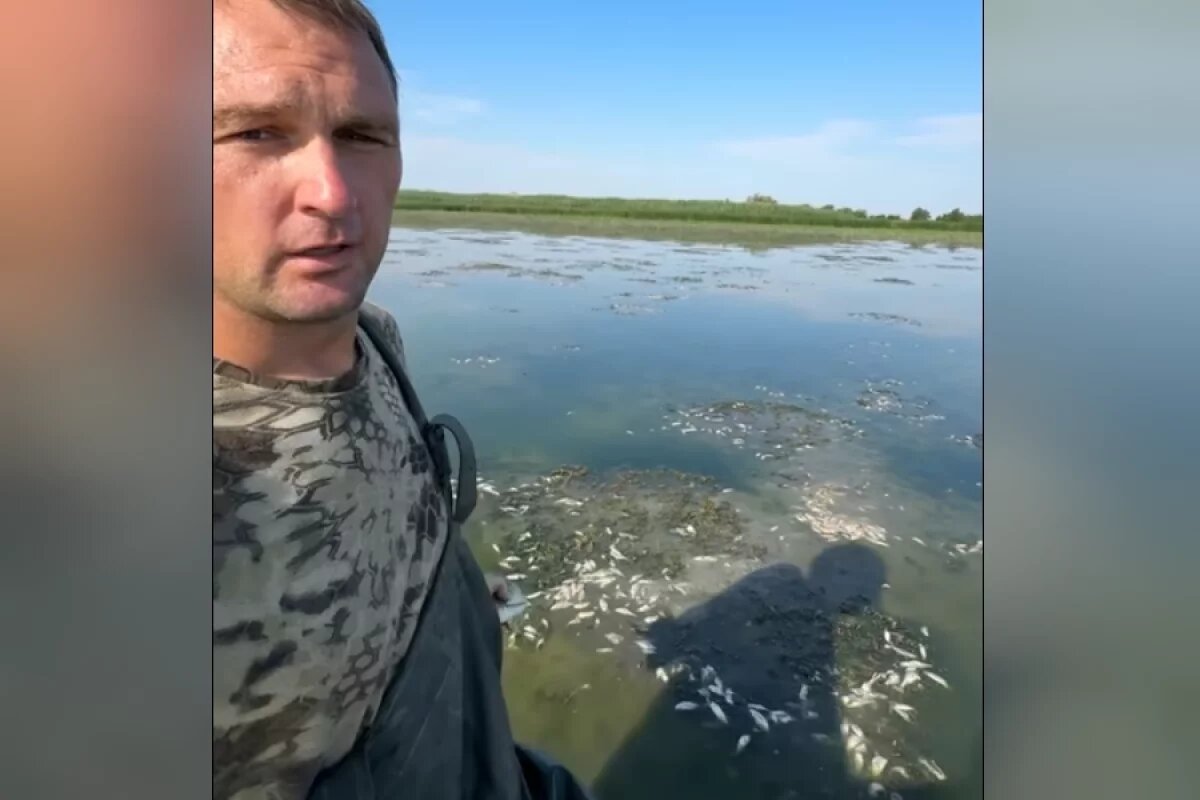    Озеро с вареными раками и гибнущей рыбой снял фермер под Волгоградом