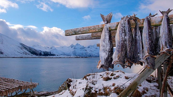    ФОТО: Gerhard Zwerger-Schoner/http://imagebroker.com/#/search//Globallookpress