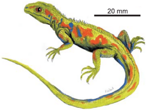 Реставрация дифидонтозавра.