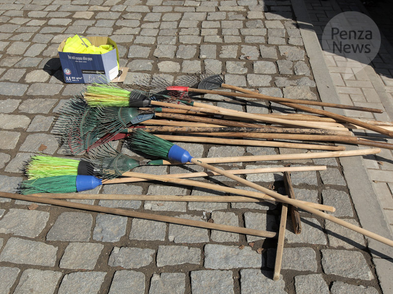    © Фото из архива ИА «PenzaNews»