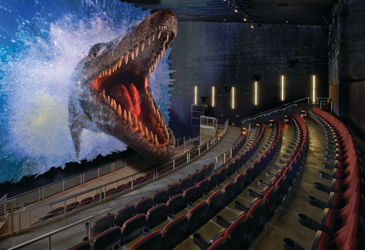 Пример  IMAX-изображения