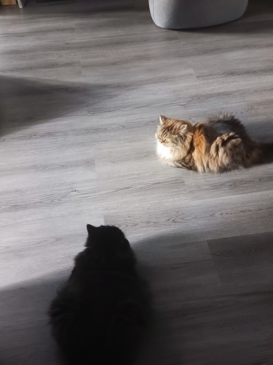 Чито там с ценой ВТБ на допке,а? Не знаю, вот сижу, жду, не мешай