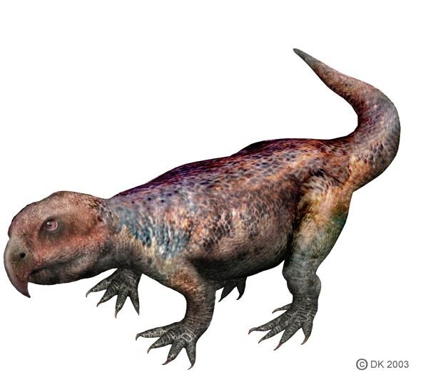 На рожу конечно, не вышел.