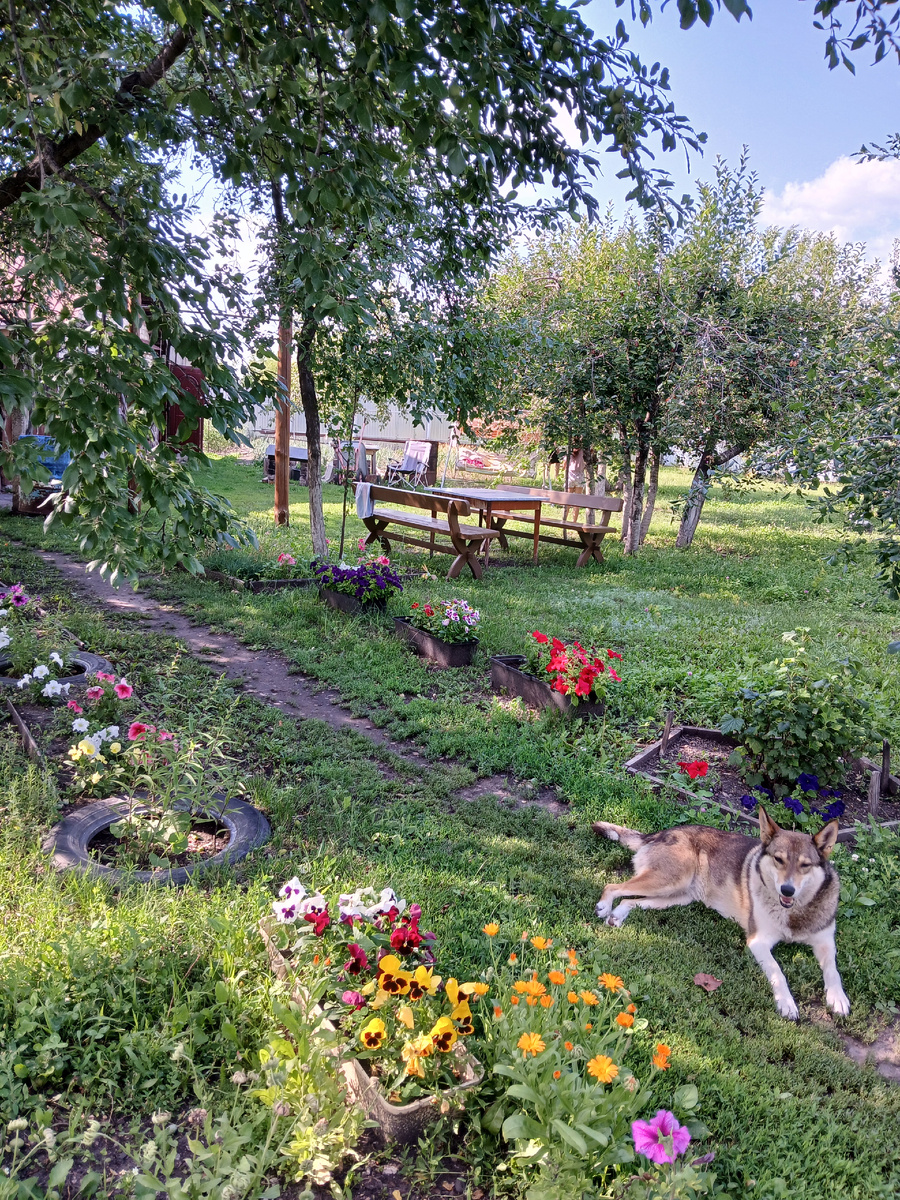 Рада. Давненько ее не показывала. Июль 2025г.