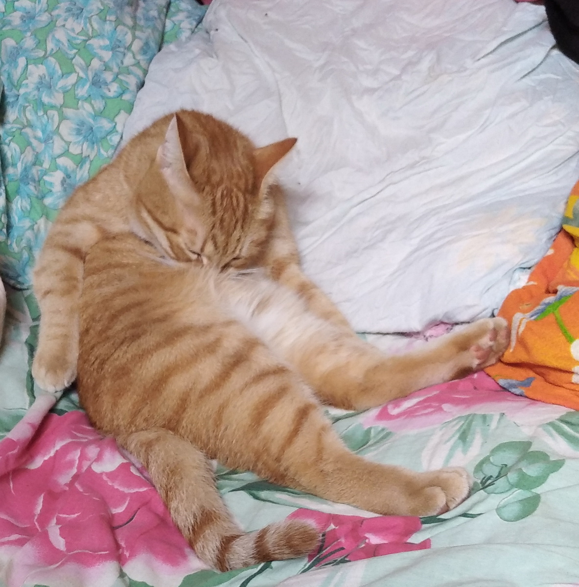 Личное фото