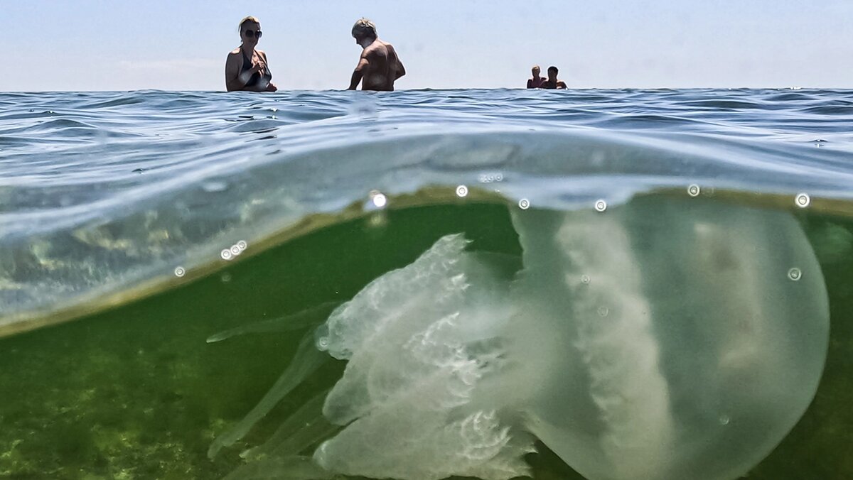   Алексей Коновалов / ТАСС