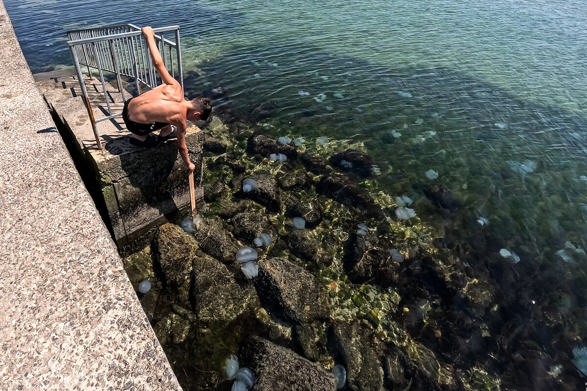    Алексей Коновалов / ТАСС