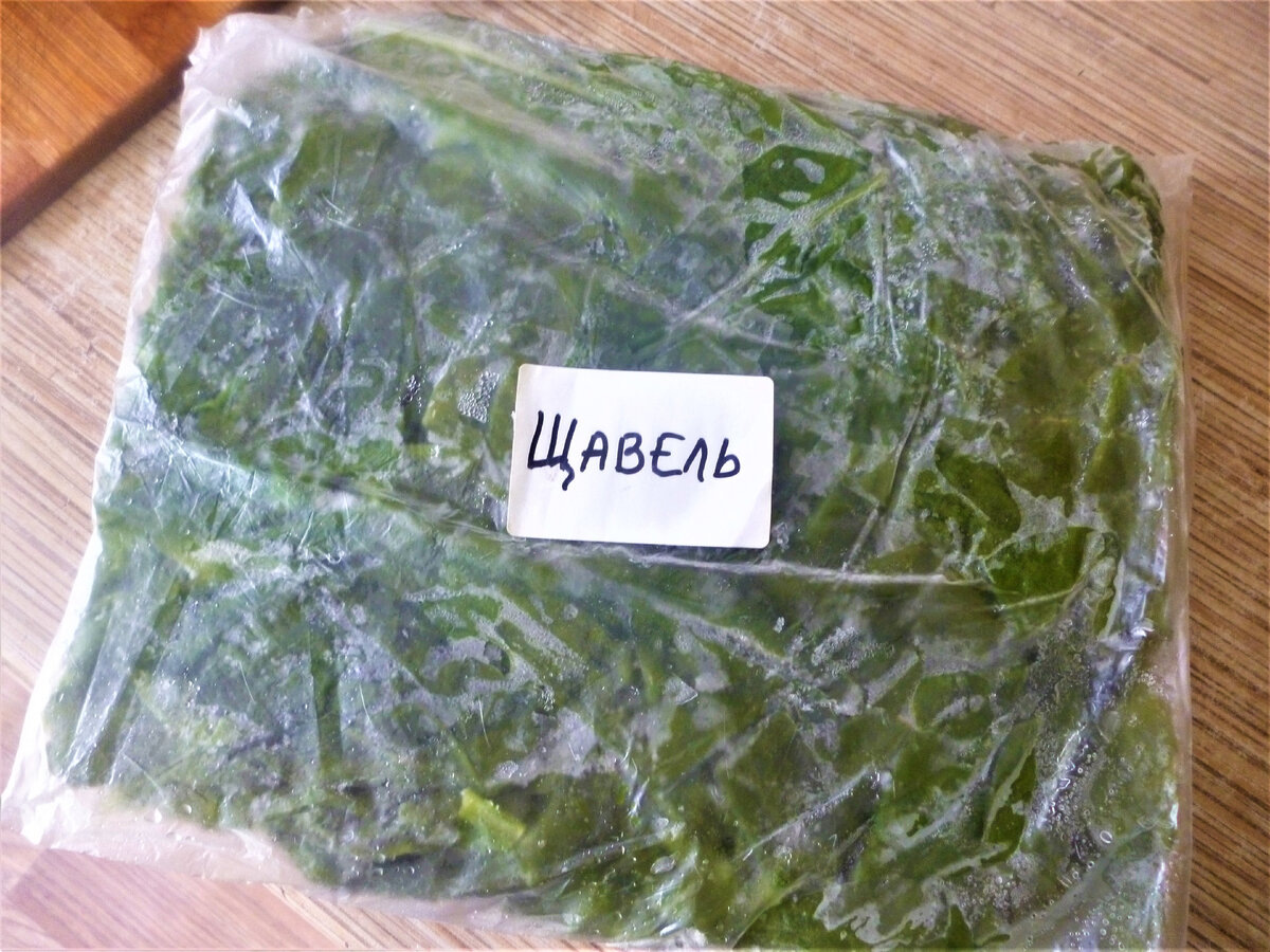    Заморозка щавеля – лучший способ сохранить лето в кубиках льда