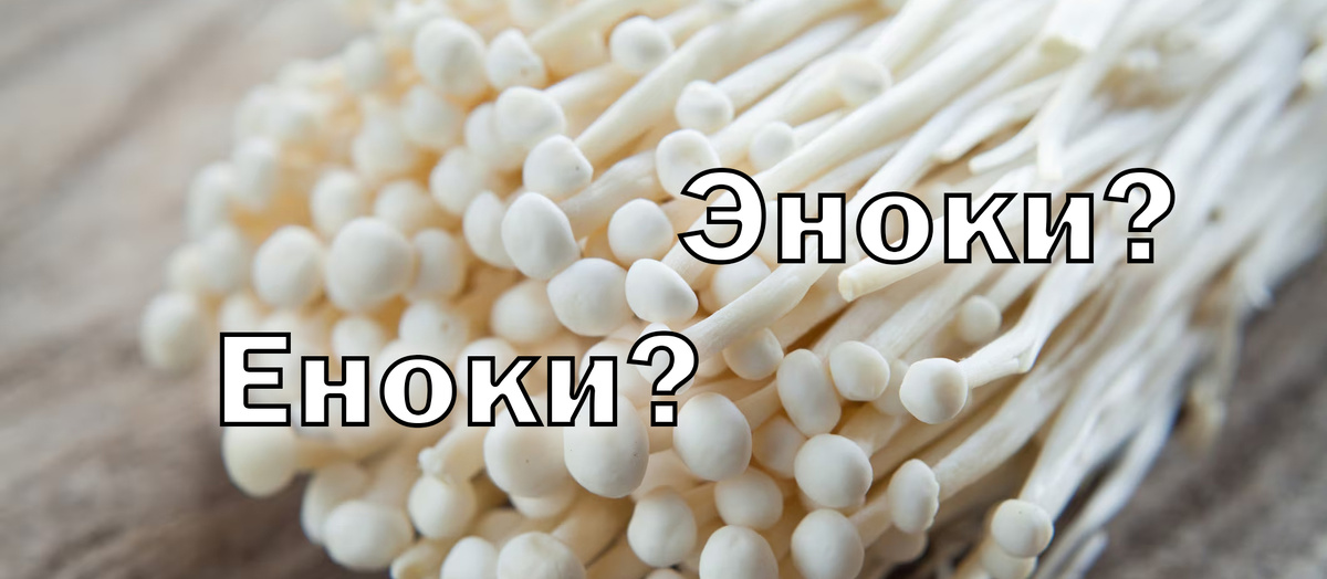 Фотография из интернета