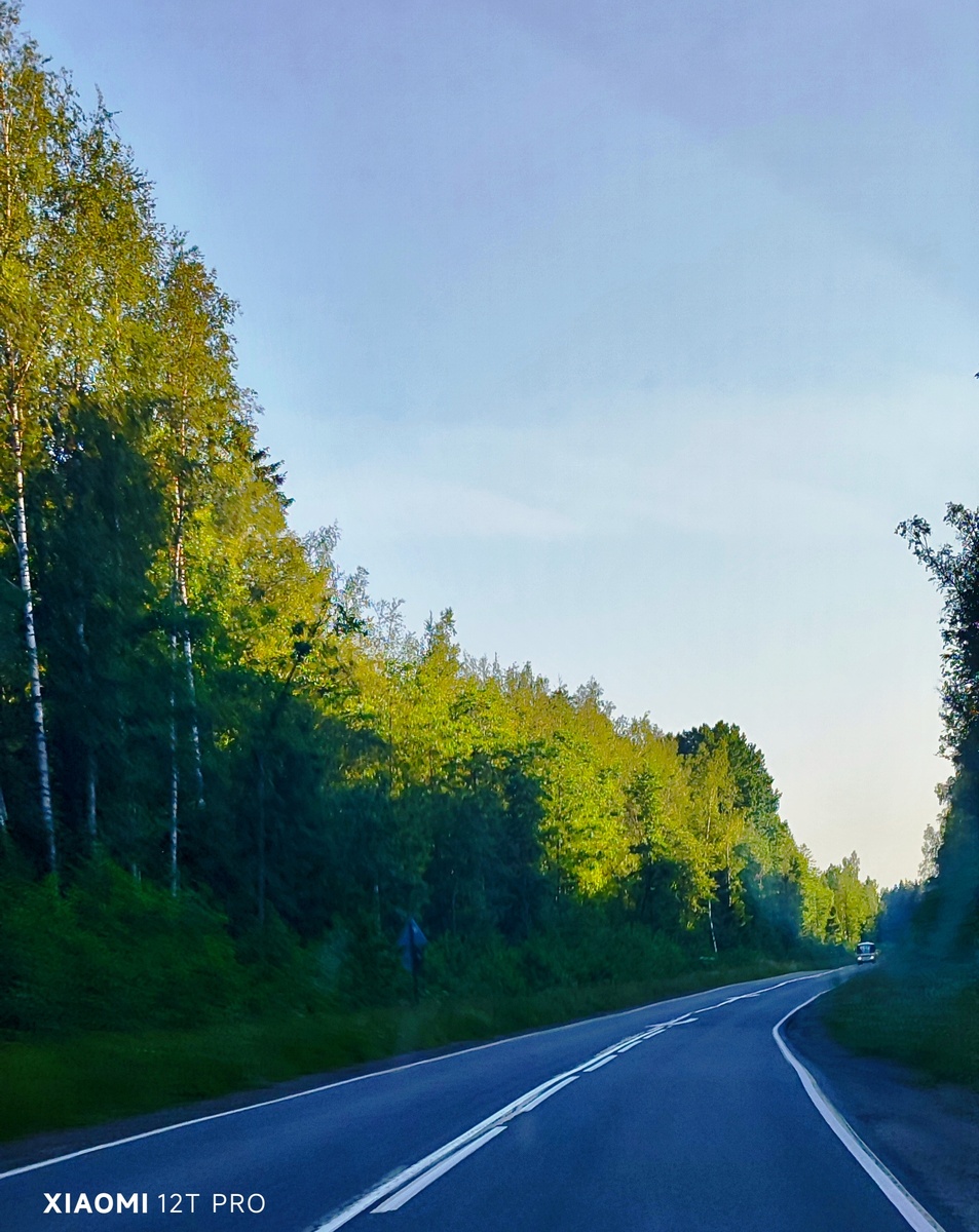 Дорога на Сосновый Бор.