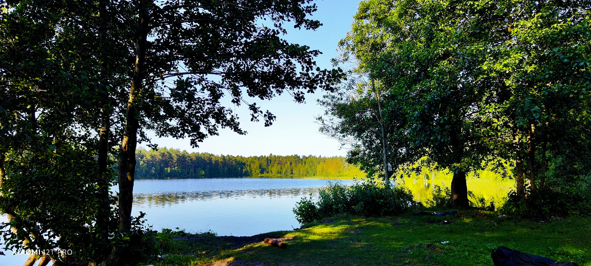 Утро на озере.