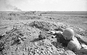 Успеть зарыться в землю. / ФОТО ТАСС Администратор  📷
