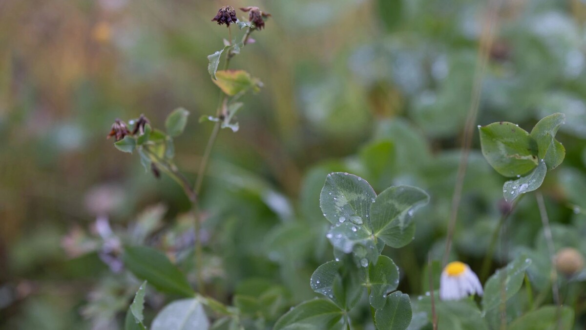    Фото: Сергей Зубков / «Ямал-Медиа»