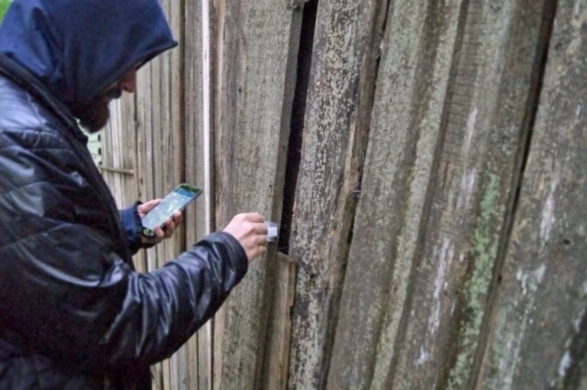    Томич получил 9 лет строгого режима за наркозакладки