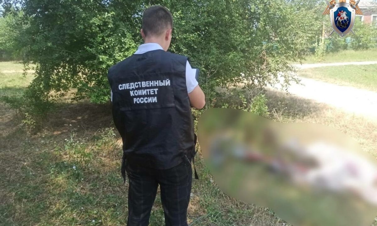    Фото t.me/kubansledcom