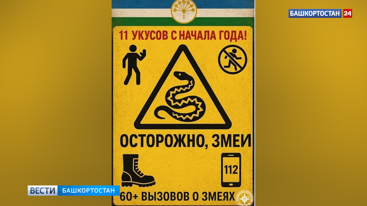    Змеи в Башкортостане: Госкомитет РБ по ЧС дал рекомендации