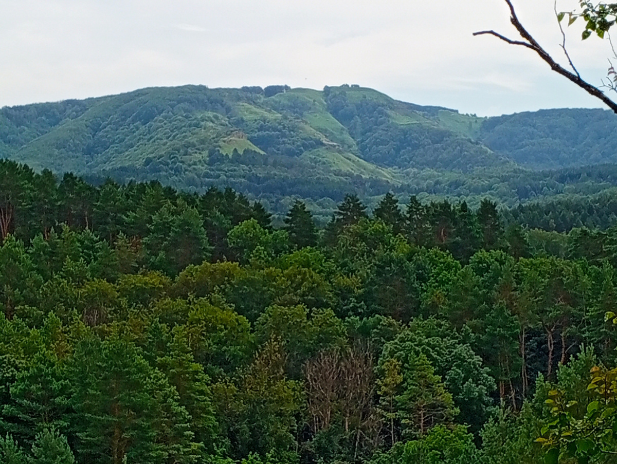 Курортный парк в Кисловодске. Фото автора.