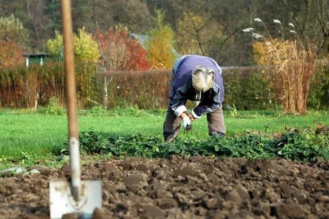 29 июля 2020 г.