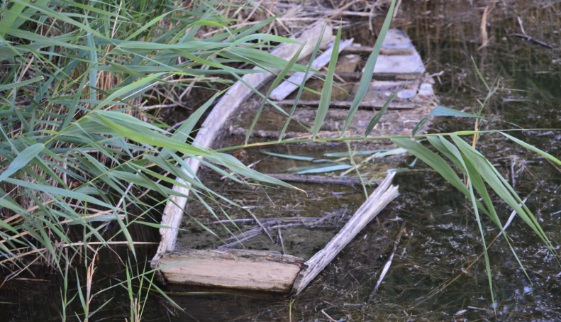 Фото автора. 18.07.2025. Раньше лодка ходила по реке рассекая волны. В настоящий момент плавает не далеко от берега.