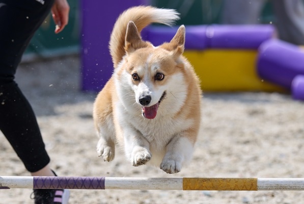 Фото: Валерия Калугина/ТАСС
